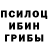 Галлюциногенные грибы мухоморы Jason Fuentes