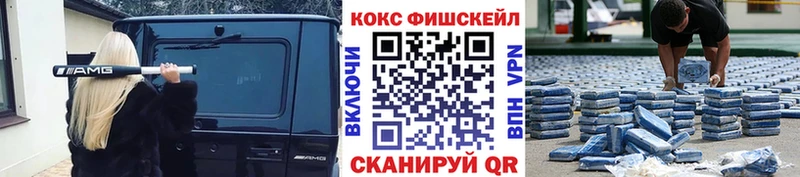 COCAIN Fish Scale  цены   Орёл 