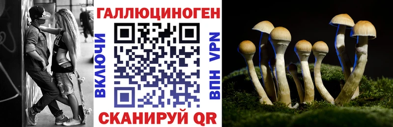 Галлюциногенные грибы мицелий  купить наркотик  Орёл 